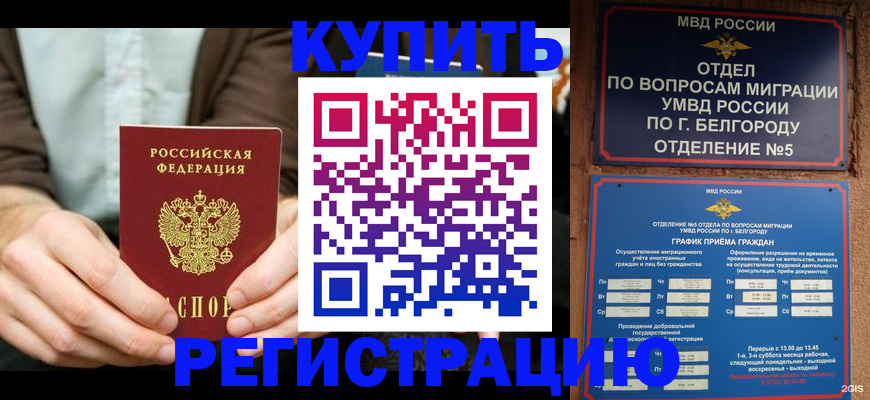 прописка 2025 в Новозыбкове